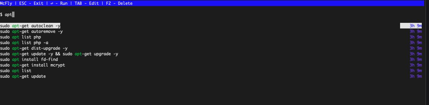 Example McFly interface displaying file list Example McFly interface displaying file list